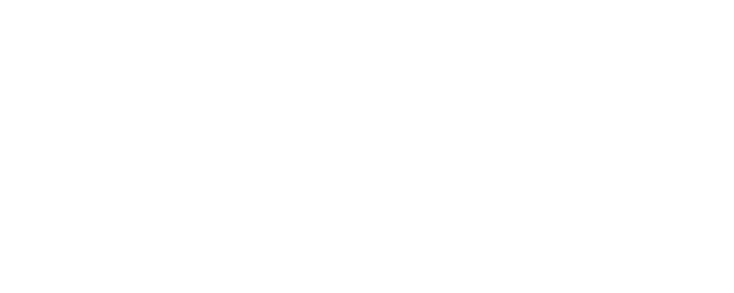 Dongfeng Moll Motor